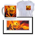 apple tshirt, cutps and framed print