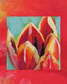 Red Tulip Free Ecard