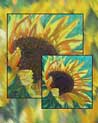 Sunflower Free Ecard