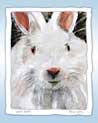 Free White Rabbit Ecard