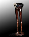 Free Long Legs Are Not Enough Bronze Sculpture Ecard