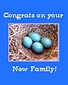 Congrats on your new family Ecard