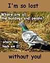 Pigeon Lost Free Ecard